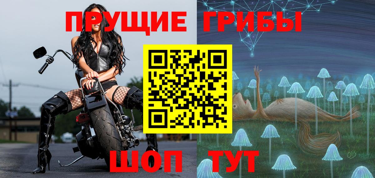 где можно купить наркотик  Вход с VPN  Семёнов  Псилоцибиновые грибы Psilocybe 